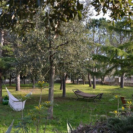 Margherita Apartment - Villaggio Di Mary Locorotondo Exteriér fotografie